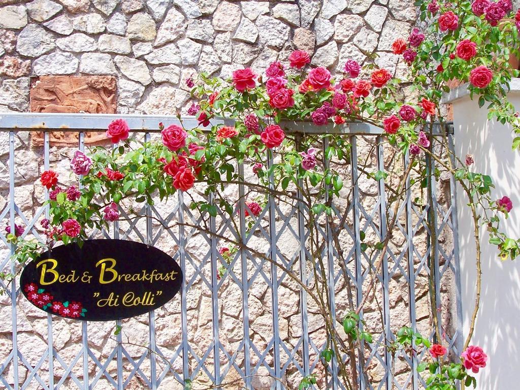 Ai Colli B&B Salò Kamer foto